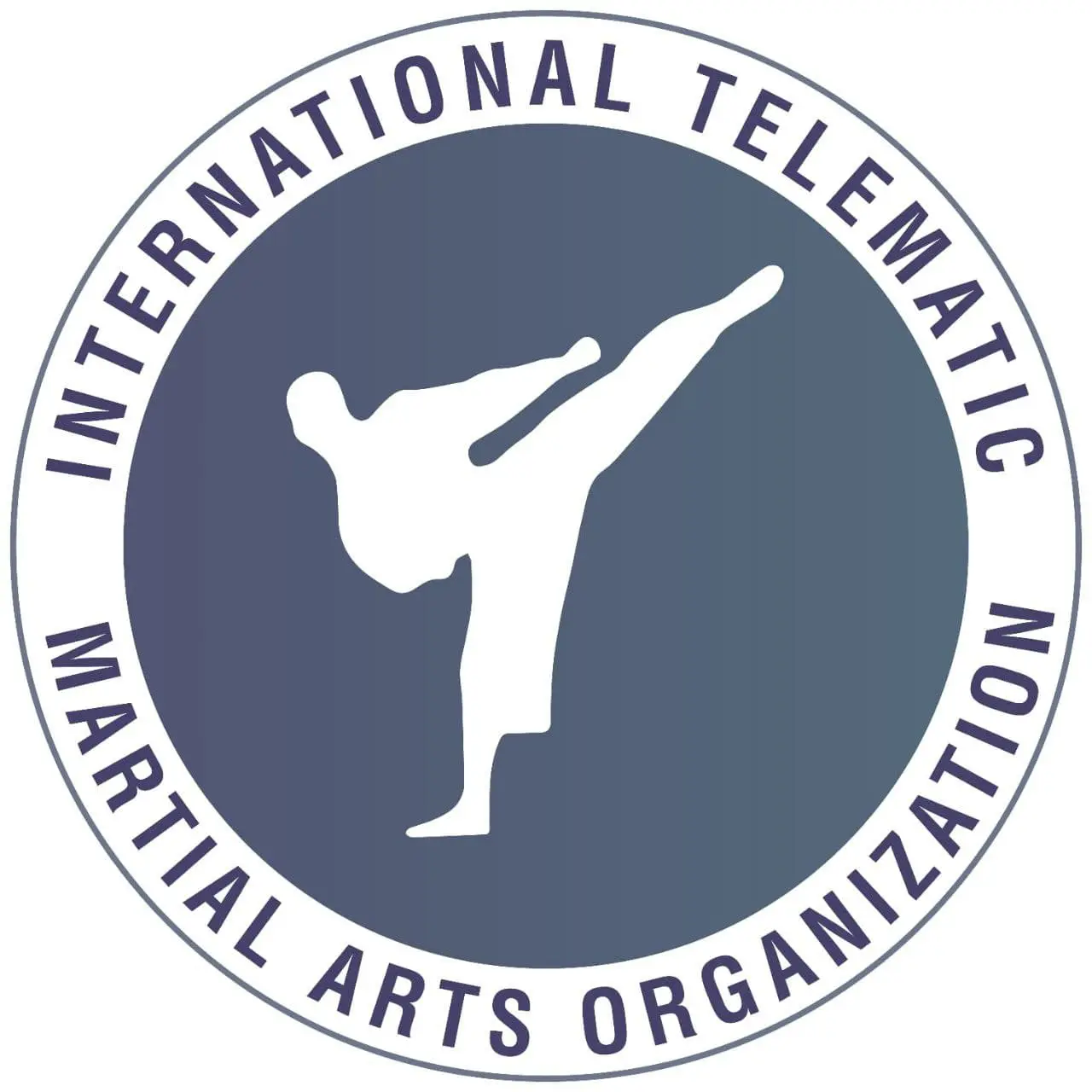 INTERNATIONALTELEMATICMARTIALARTSORGANIZATION